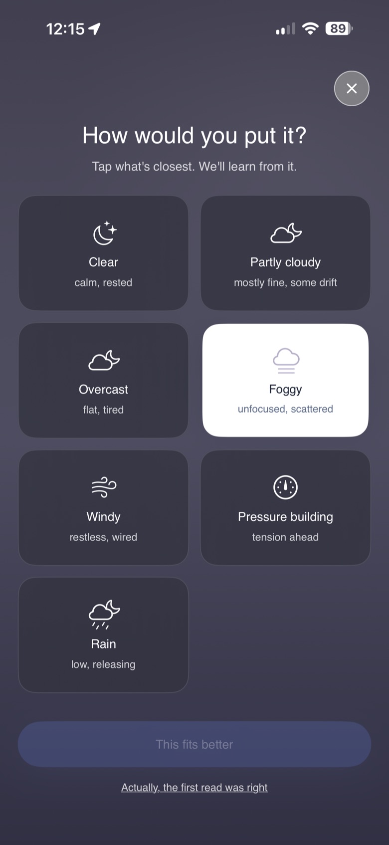 The Mind Weather picker — 'How would you put it?' with weather options